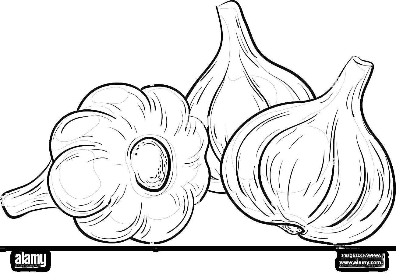 Раскраска Три нарисованные чесночные головки