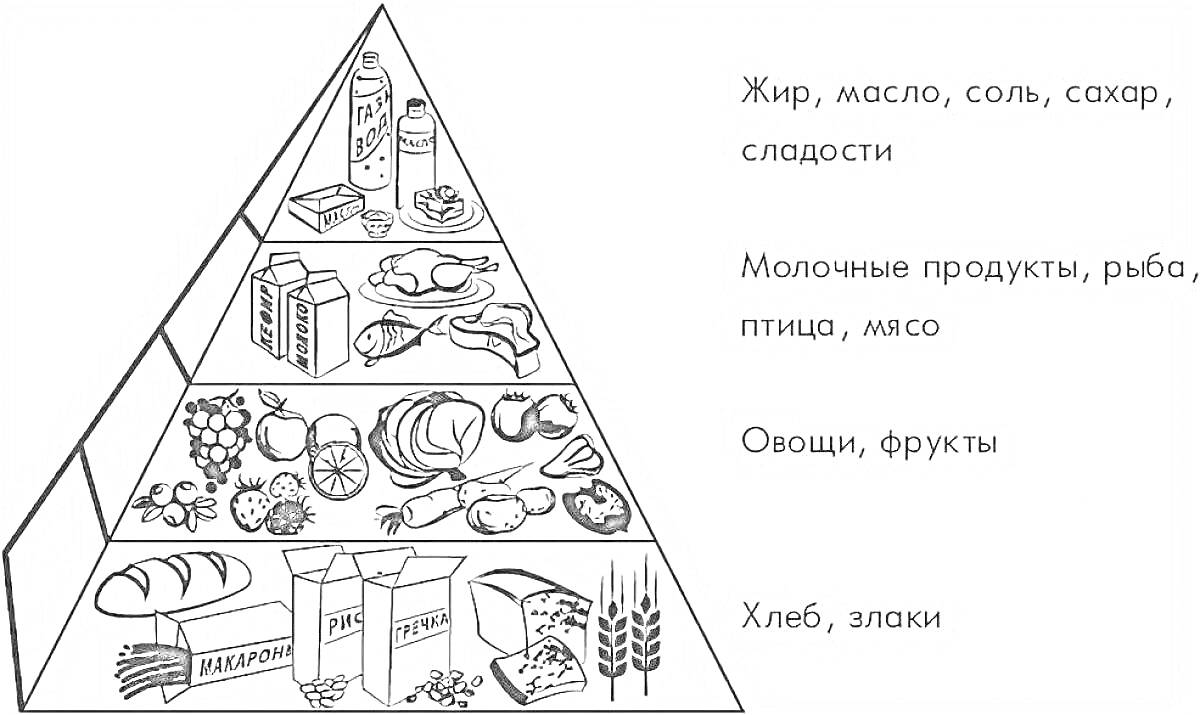 На раскраске изображено: Масло, Соль, Сахар, Сладости, Молочные продукты, Рыба, Птица, Мясо, Овощи, Фрукты, Хлеб, Злаки, Здоровое питание