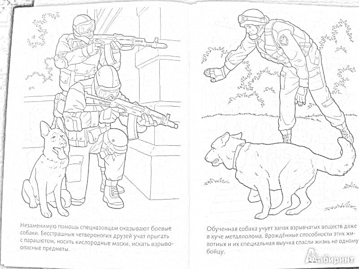 На раскраске изображено: Военные, Винтовка, Собака, Команда, Деревья, Вооружение, Служба, Безопасность