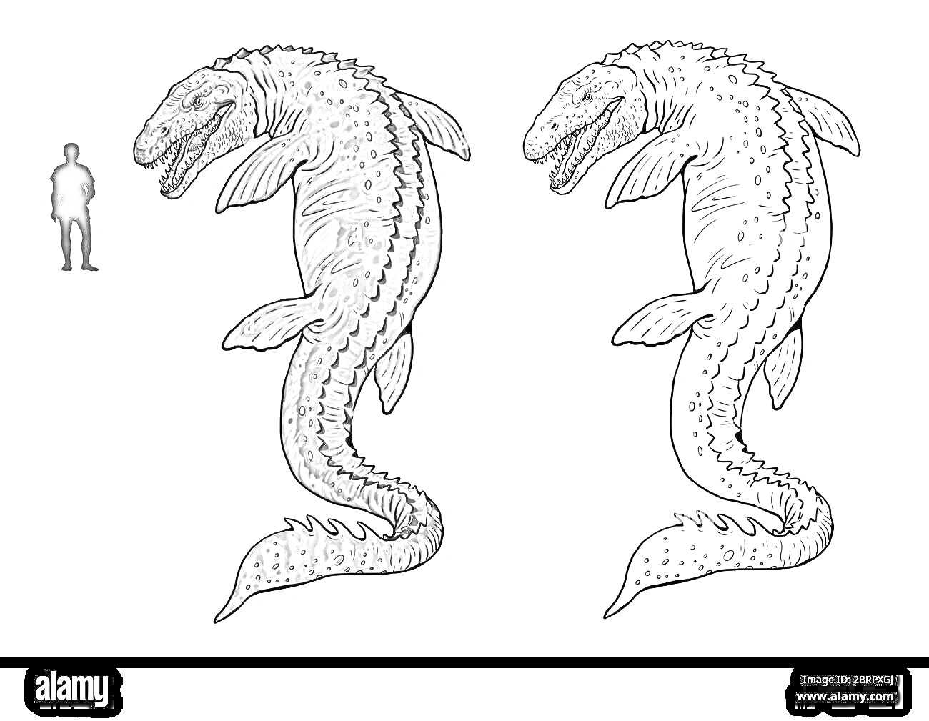 Раскраска Мозазавр с человеком для сравнения размеров, фигурка человека, раскраска одного мозазавра, рисунок раскрашенного мозазавра