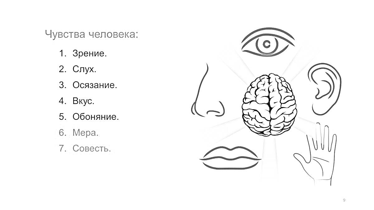 На раскраске изображено: Органы чувств, Зрение, Слух, Осязание, Вкус, Обоняние, Мозг, Рука, Ухо, Нос, Рот