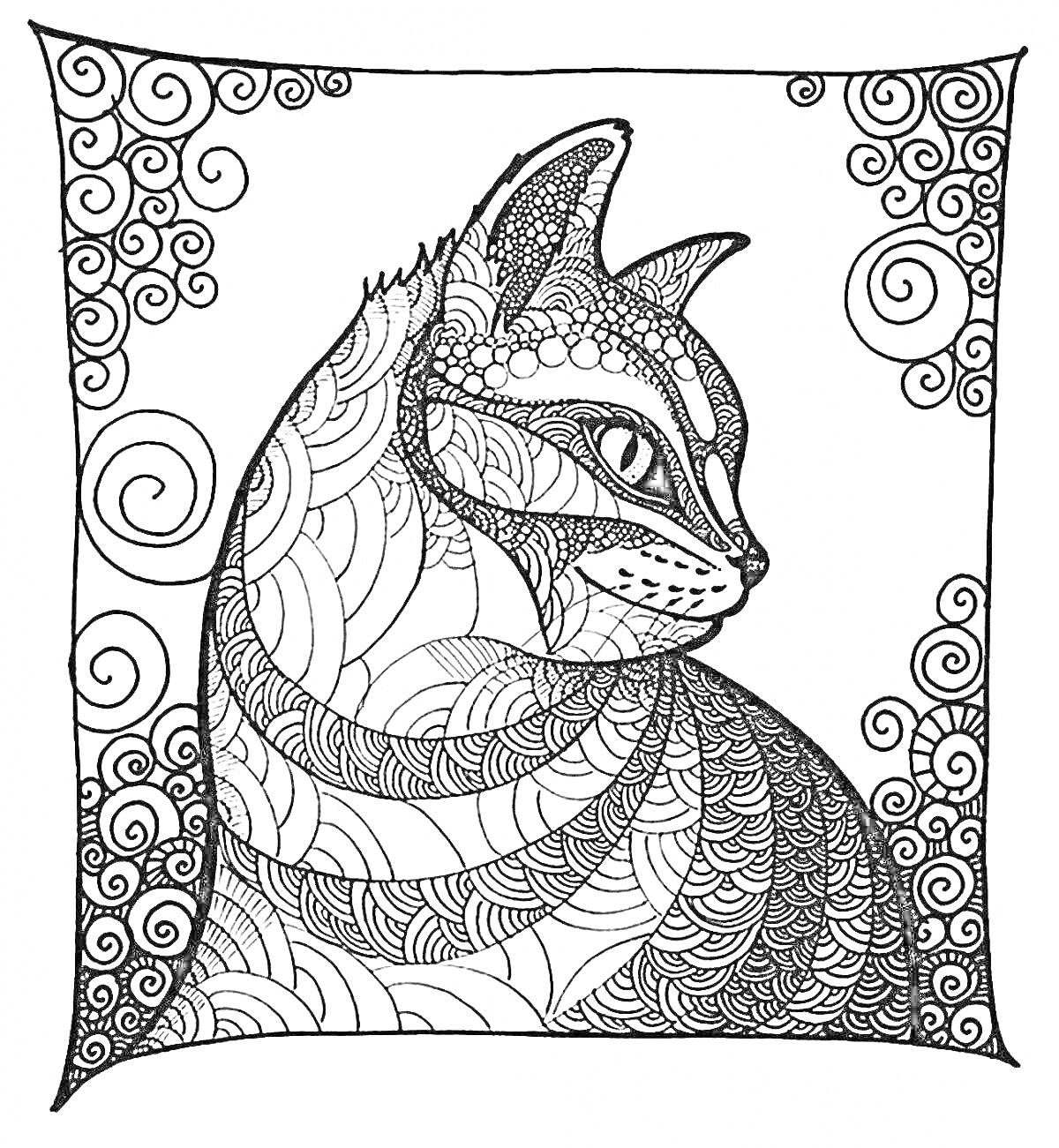 Раскраска Кот с узорчатой шерстью в рамке с завитками