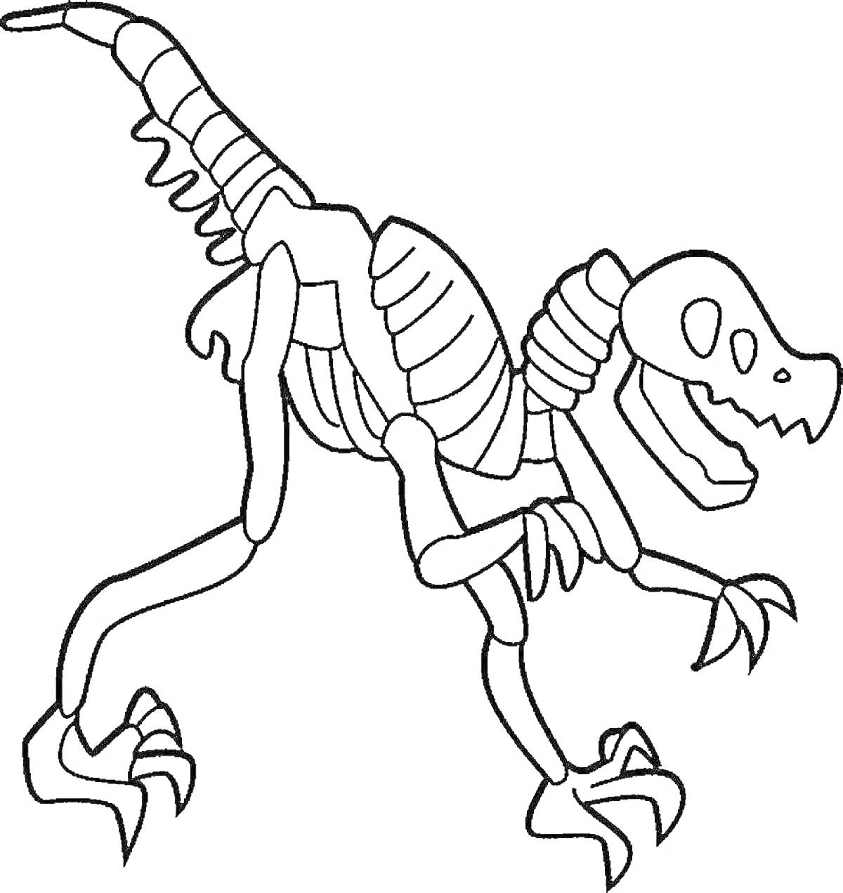 Раскраска Раскраска скелета динозавра с когтями и хребтом