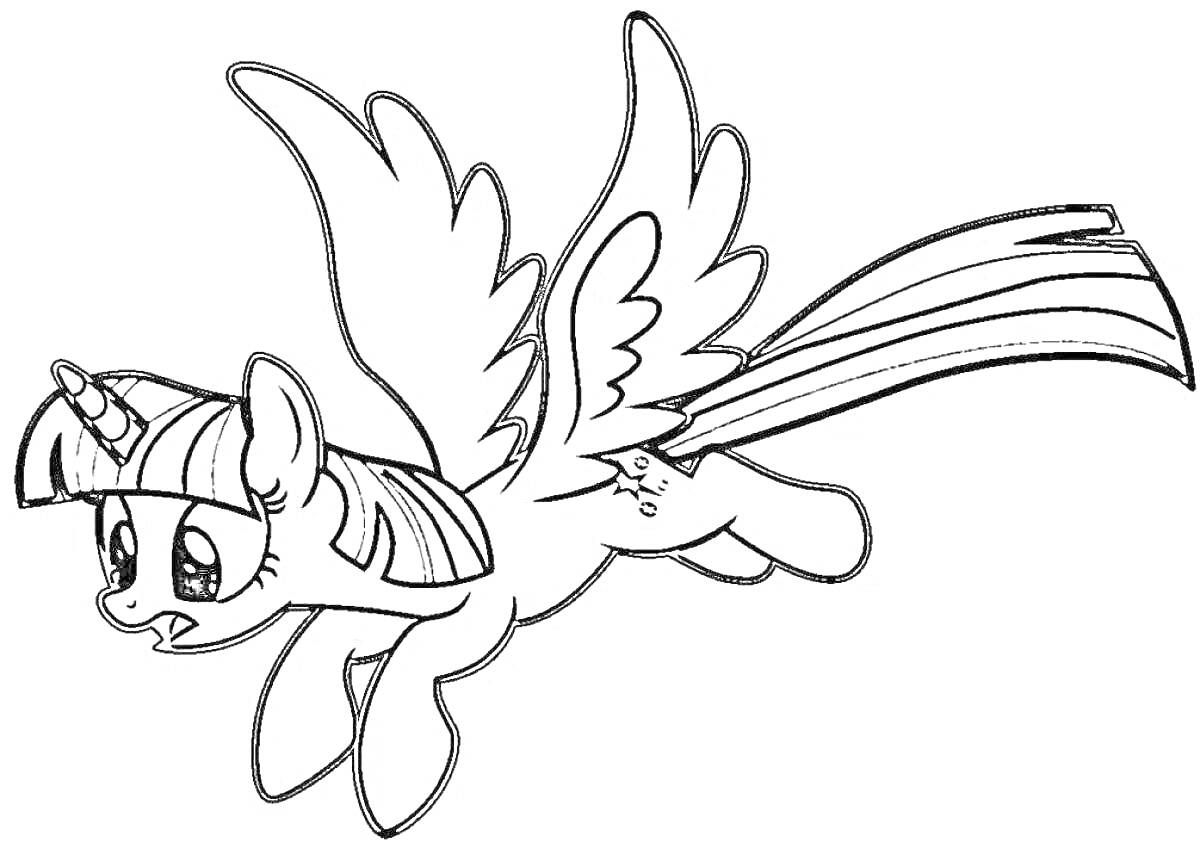 Раскраска Пони с крыльями и рогом, летящая в воздухе, с прической, длинным хвостом и звездочками на боку.