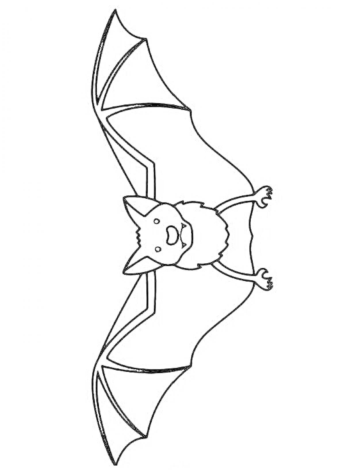 Раскраска Летучая мышь с расправленными крыльями