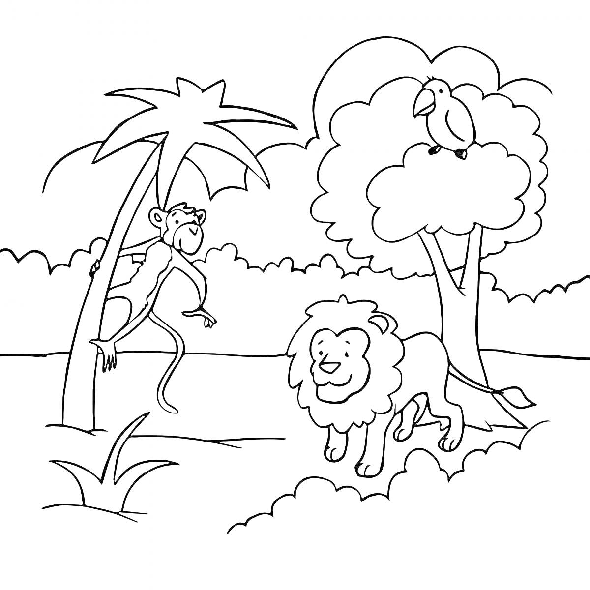 На раскраске изображено: Остров, Лев, Природа, Джунгли, Животные