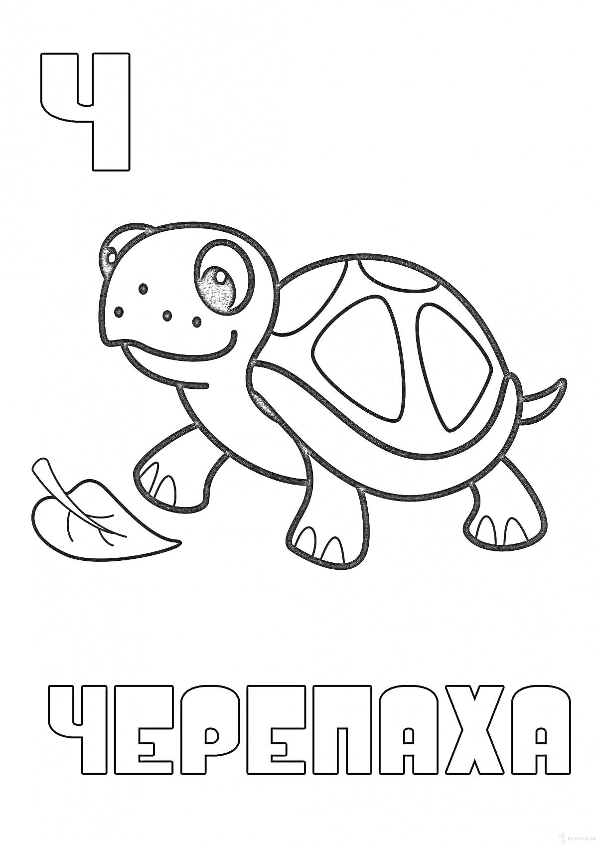 На раскраске изображено: Черепаха, Алфавит, Обучение