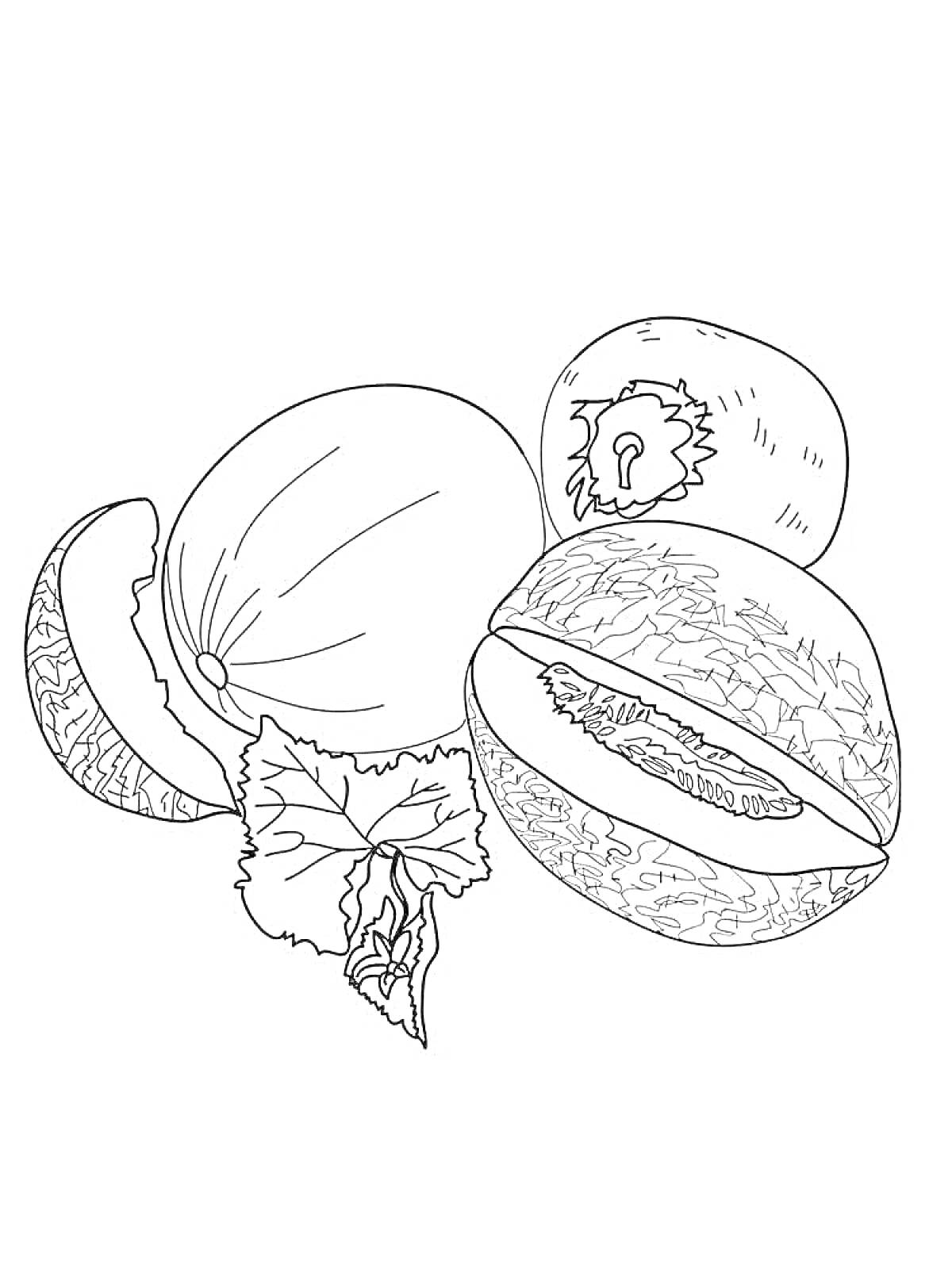 Раскраска Дыни с листьями и слайсами