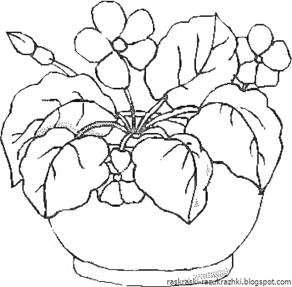 На раскраске изображено: Комнатные растения, Листья, Цветы, Для малышей, 4 года, 5 лет, Для детей, Горшки