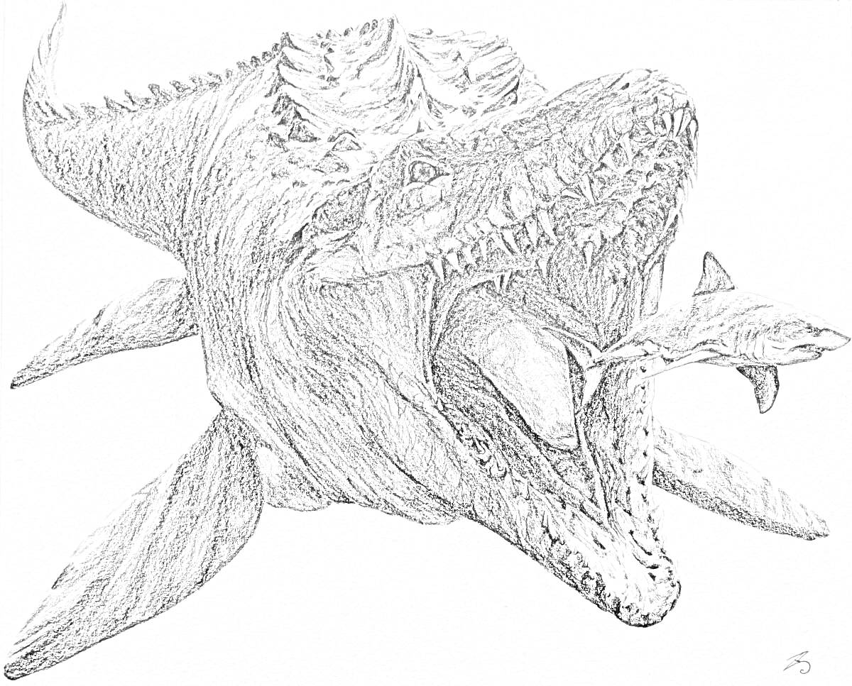 Раскраска Мезозавр с раскрытой пастью, поедающий добычу в виде рыбы, фон нейтральный