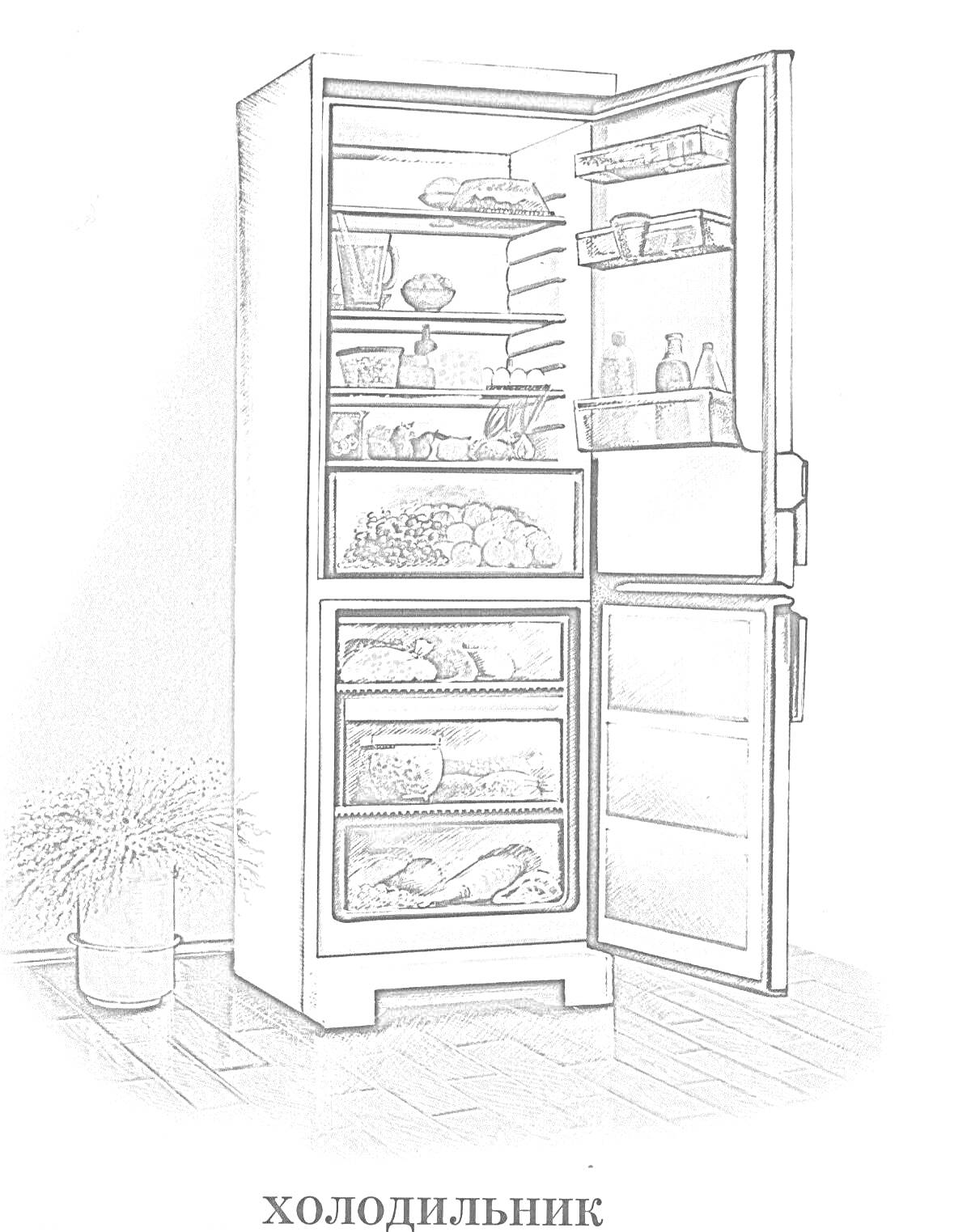 Раскраска Холодильник с продуктами и посудой на фоне пола и стены, с корзиной цветка рядом