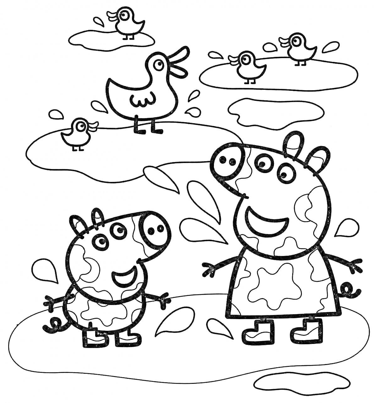 На раскраске изображено: Свиньи, Капли, Природа, Веселье, Животные