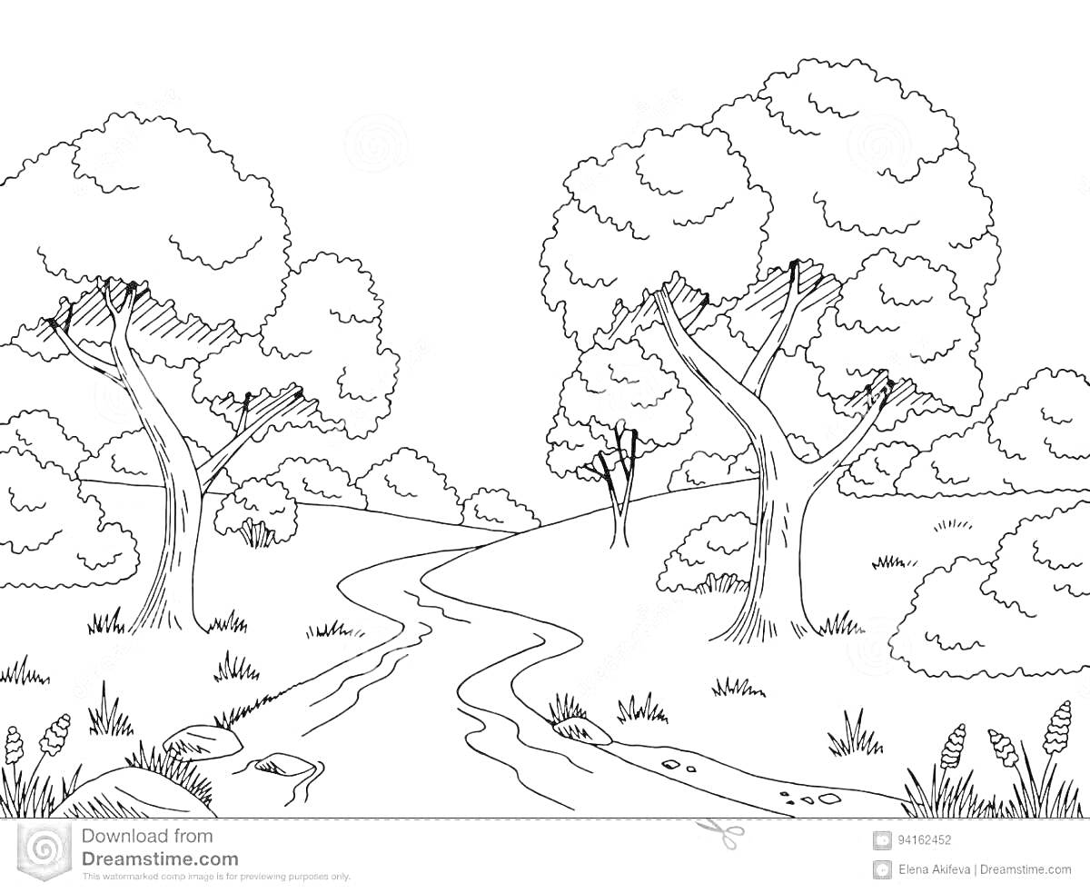 Раскраска Ручей в роще с деревьями, камнями и травой