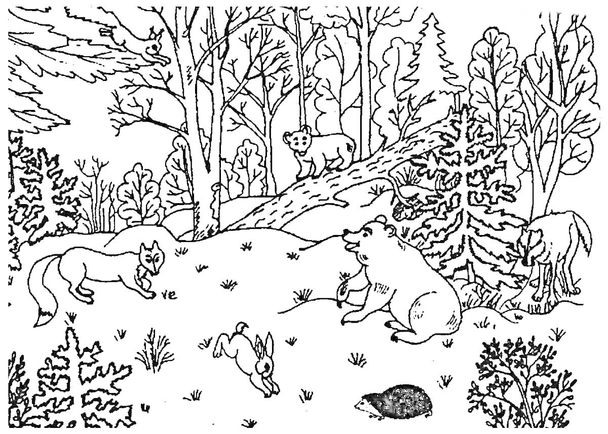 Раскраска Лес с животными: медведь, лиса, заяц, олень, белка, ёжик, птица на ветке, деревья и кусты.