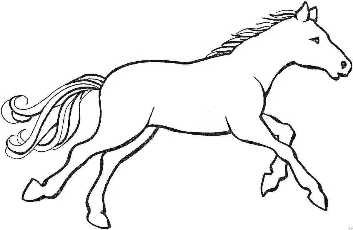 Раскраска Скачущий жылқы (лошадь) с развивающейся гривой и хвостом