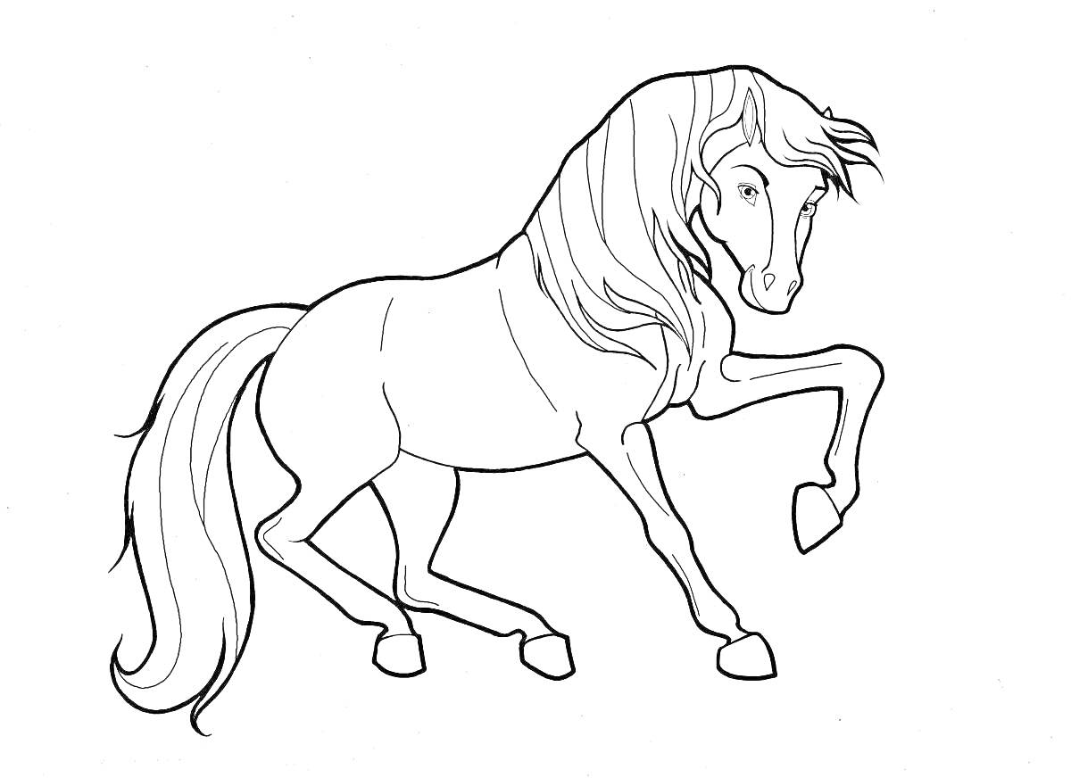 На раскраске изображено: Лошадь, Животные, Грива, Хвост, Белый фон, Поднятая нога, Контурные рисунки