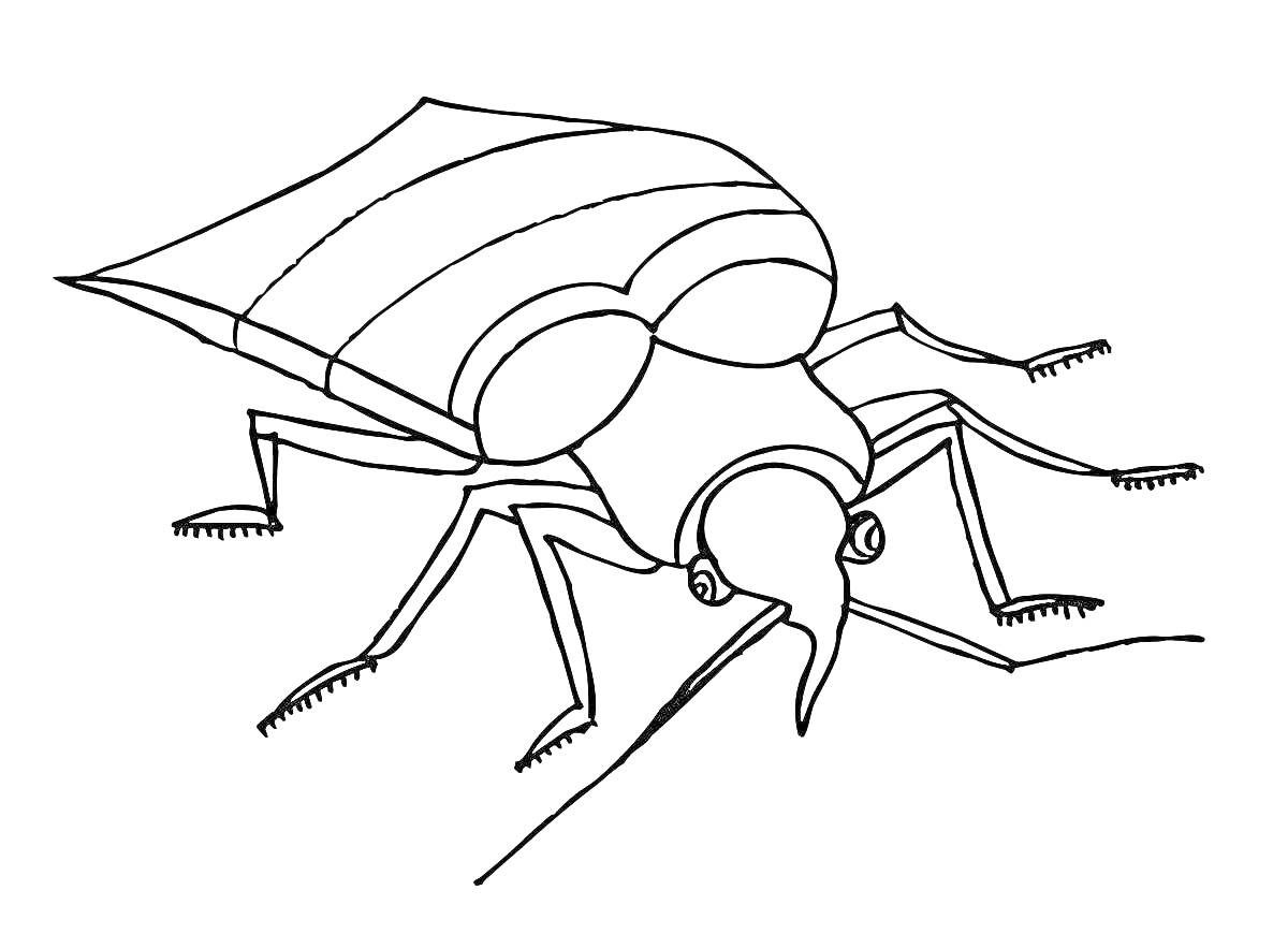 Клоп с шестью лапами и усиками