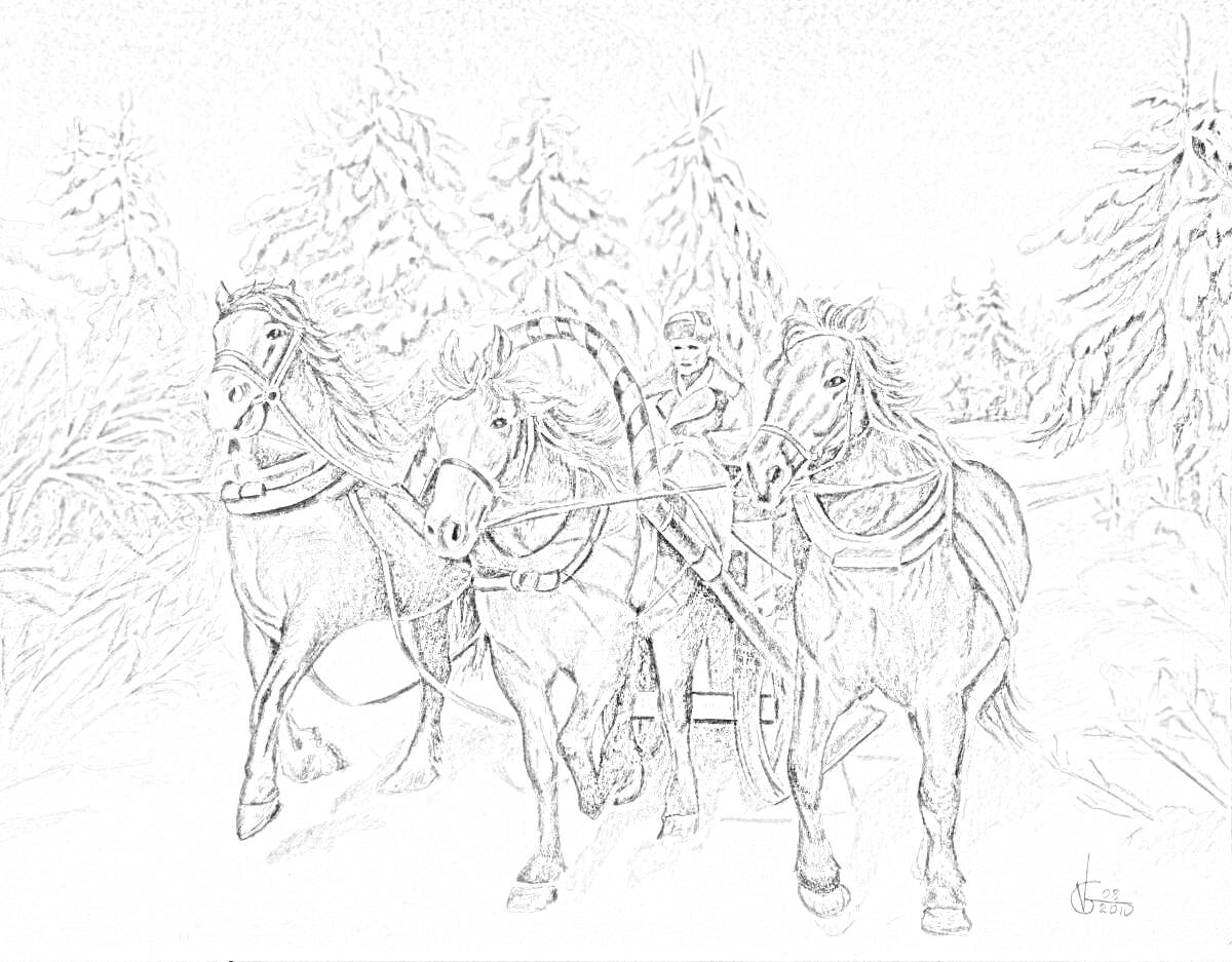 Раскраска Три белых коня в упряжке с санями на заснеженной лесной дороге, управляемые человеком
