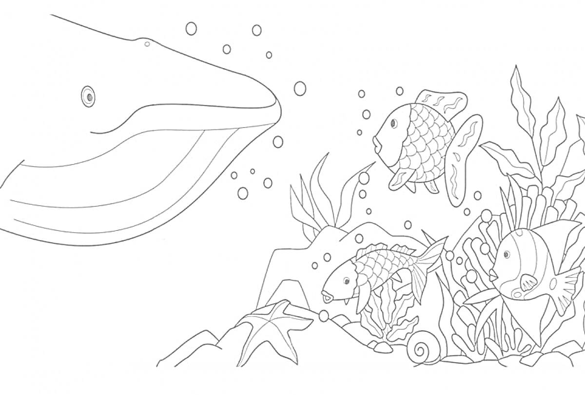 Раскраска Кит, три рыбы, водоросли, звезда, камни и раковины на морском дне