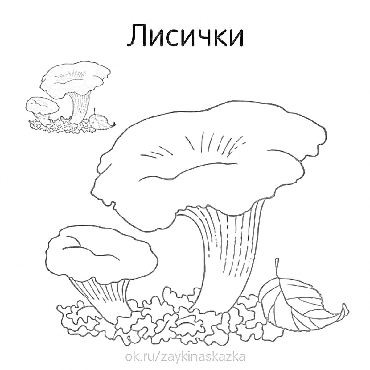 На раскраске изображено: Лисички, Грибы, Трава, Природа, Осень