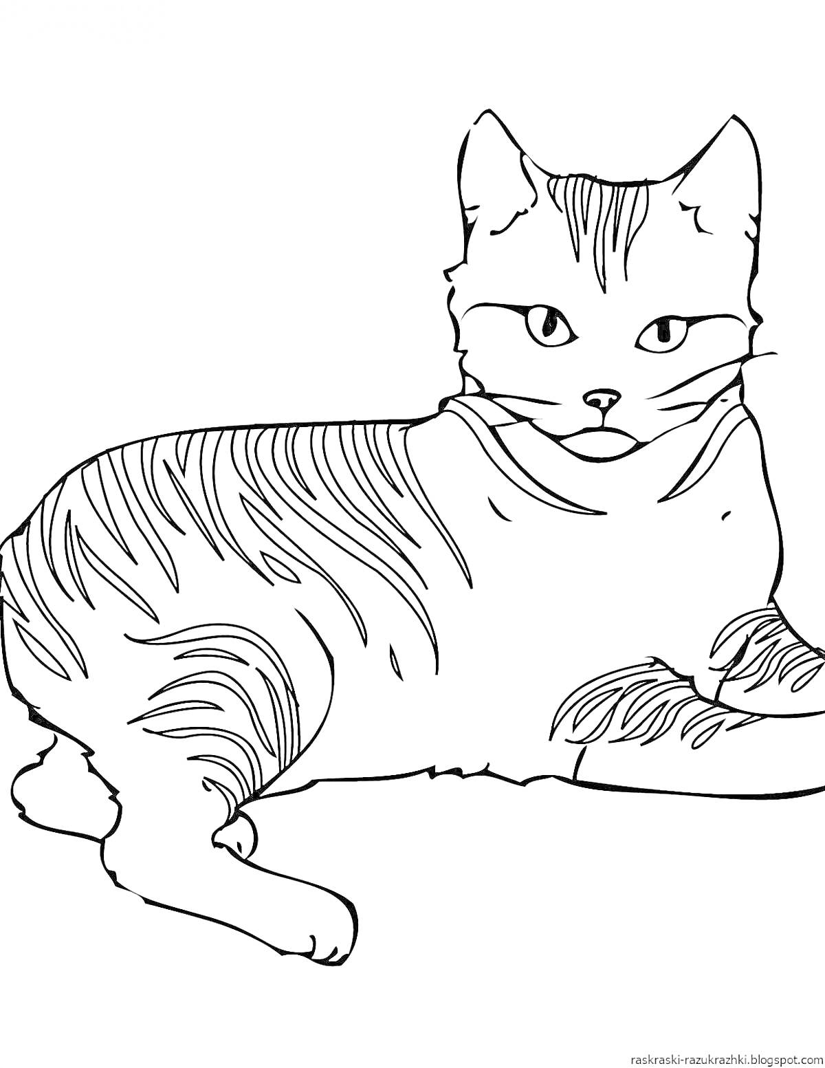 Раскраска Лежащий кот с полосками на теле