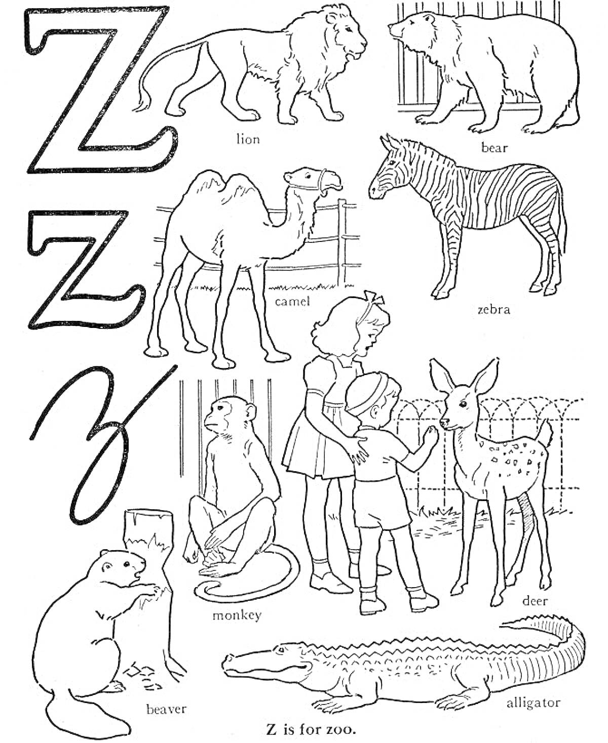 На раскраске изображено: Алфавит, Буква Z, Зоопарк, Лев, Медведь, Верблюд, Олень, Аллигатор, Бобр, Животные