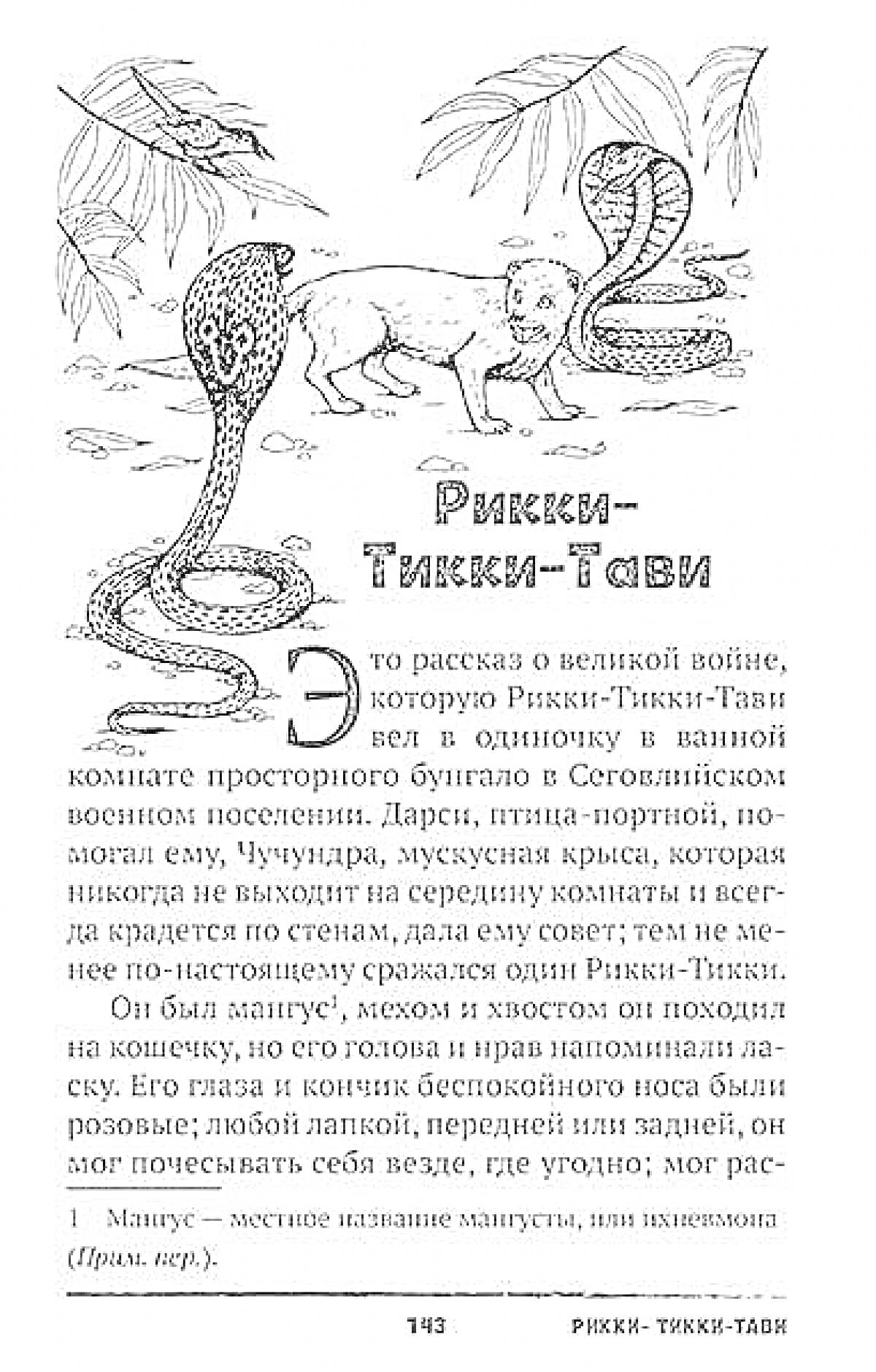 На раскраске изображено: Джунгли, Рассказ, Иллюстрация, Природа, Книга, Оборона, Приключения