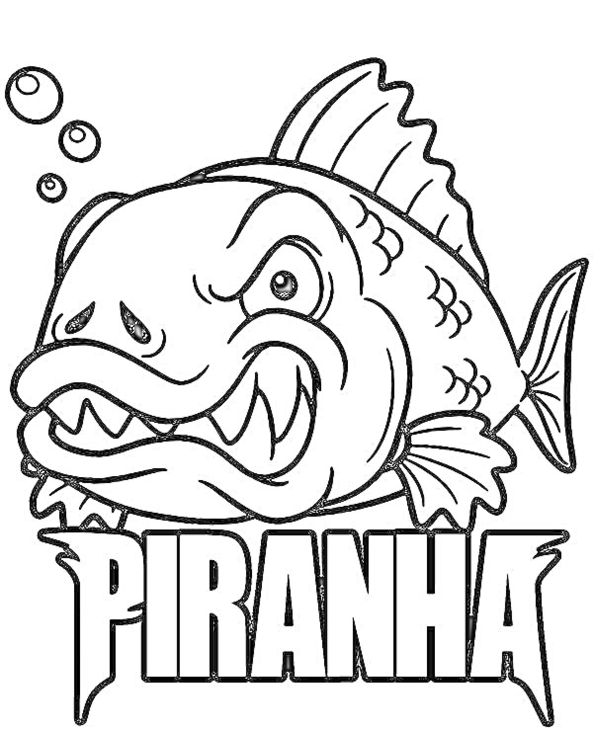 Раскраска пиранья с острыми зубами, плавающая рыба, пузырьки, надпись PIRANHA