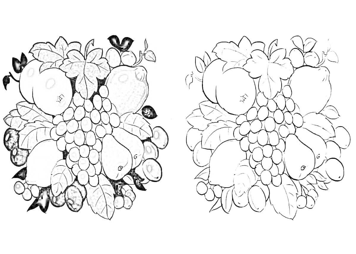 Раскраска Натюрморт с персиками, виноградом, зелеными яблоками, лимонами и вишнями