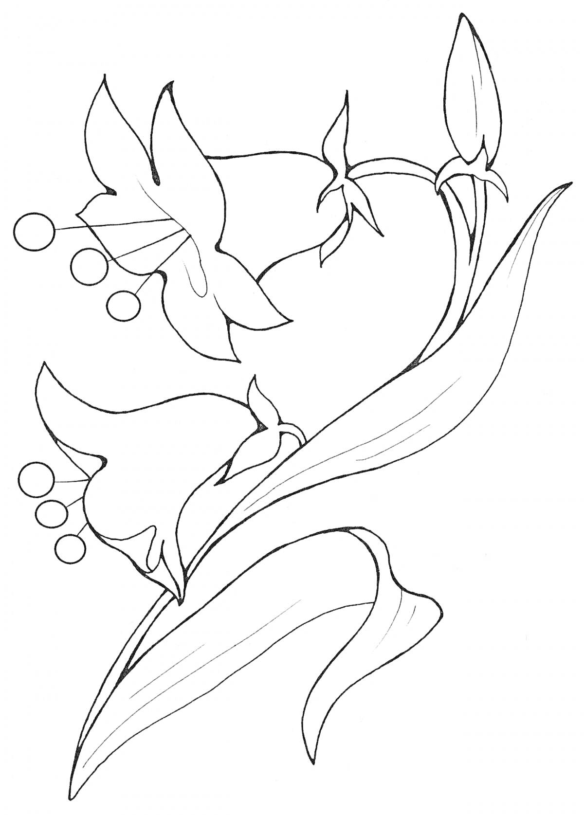 Раскраска Раскраска колокольчик с цветочными бутонами и листьями