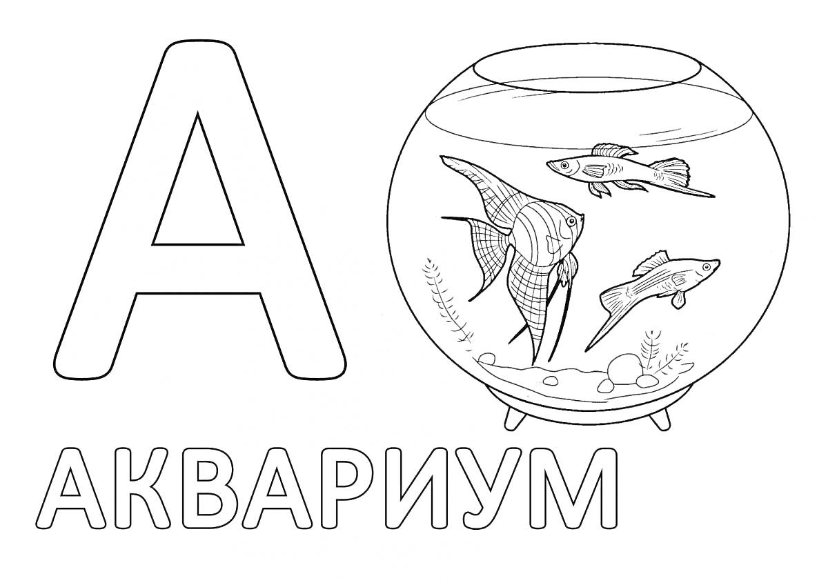 На раскраске изображено: Буква А, Алфавит, Аквариум, Обучение