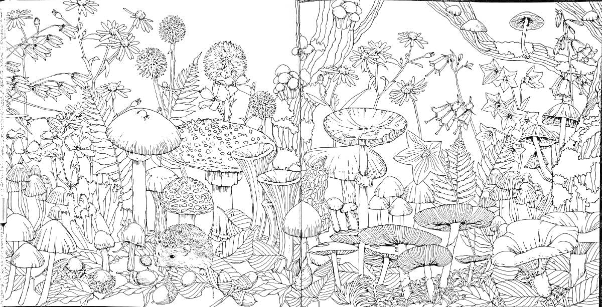Раскраска Лесная сцена с растениями, грибами и лесными животными