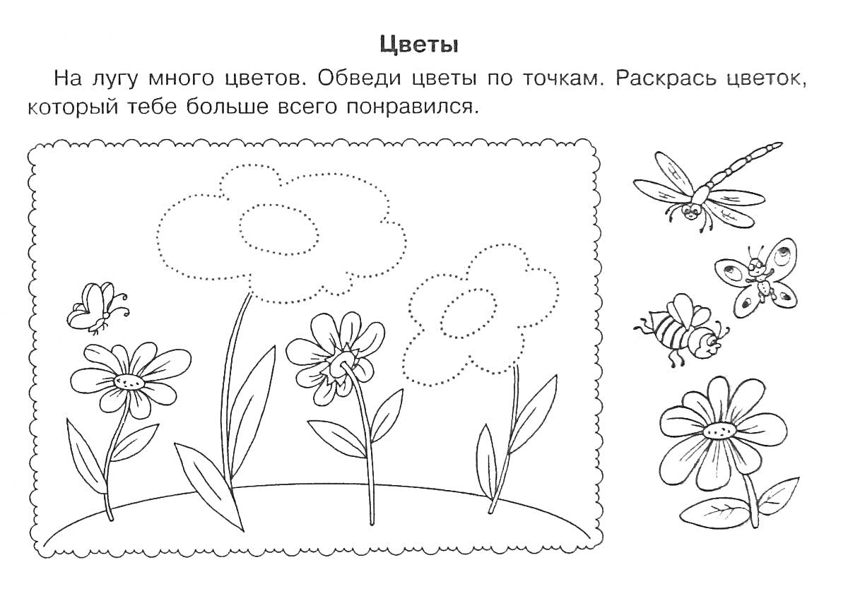 Раскраска Цветы на лугу с бабочкой, пчелой и стрекозой