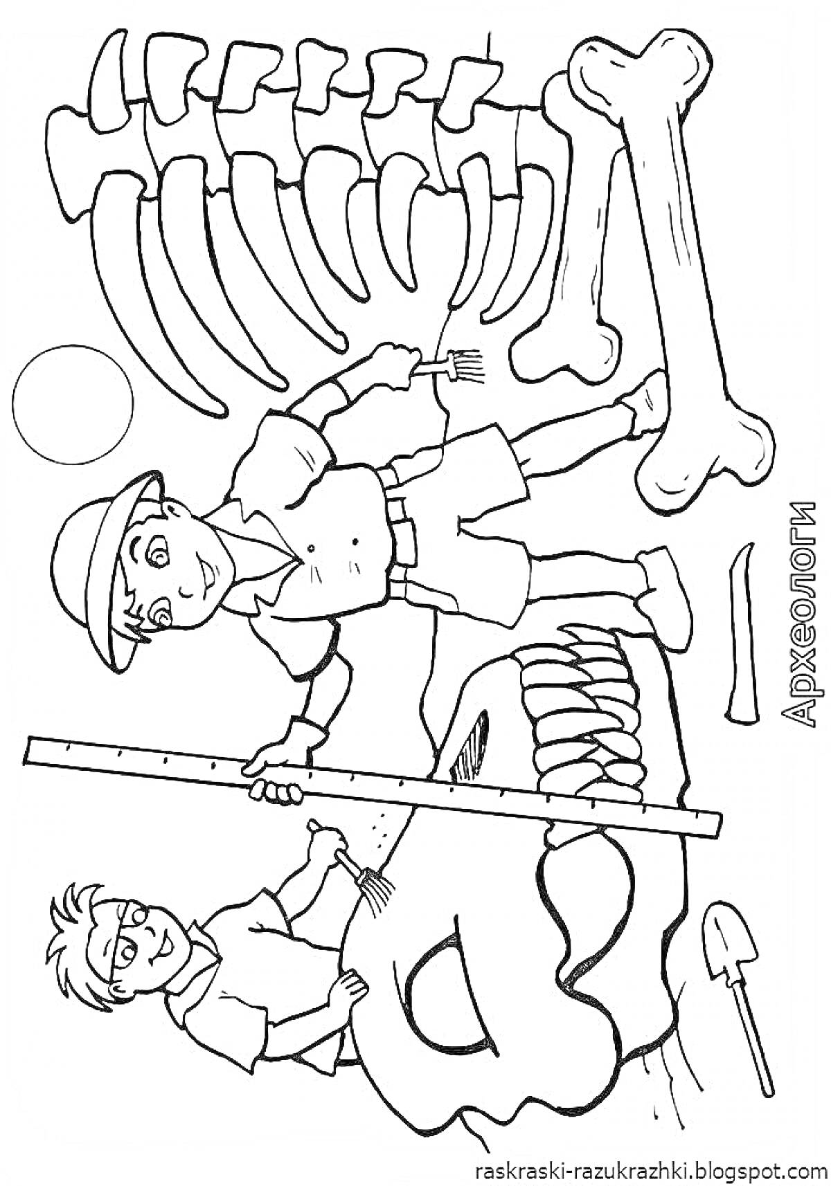Раскраска Археологи, два мальчика-археолога, кости динозавра, лопатка, линейка, кисточки, шляпа.