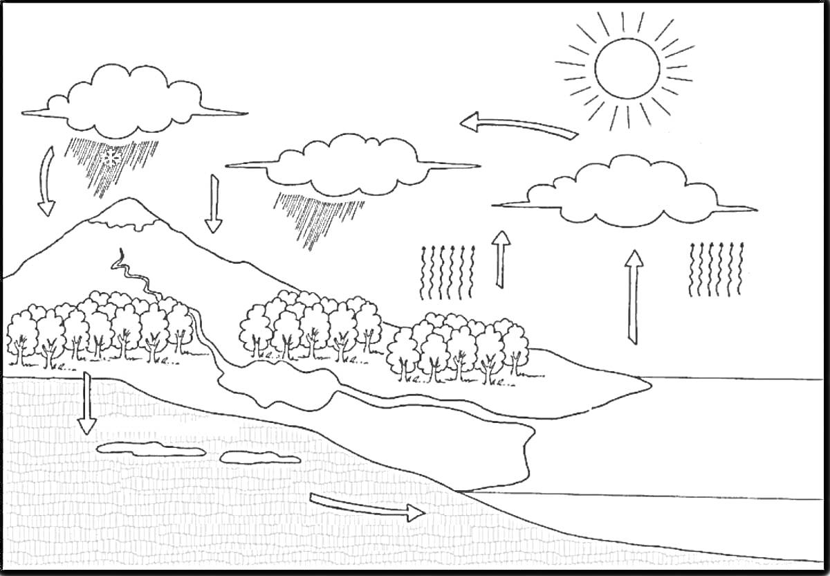 Раскраска Круговорот воды в природе с изображением солнца, облаков, дождя, испарения воды, леса, горы и озера