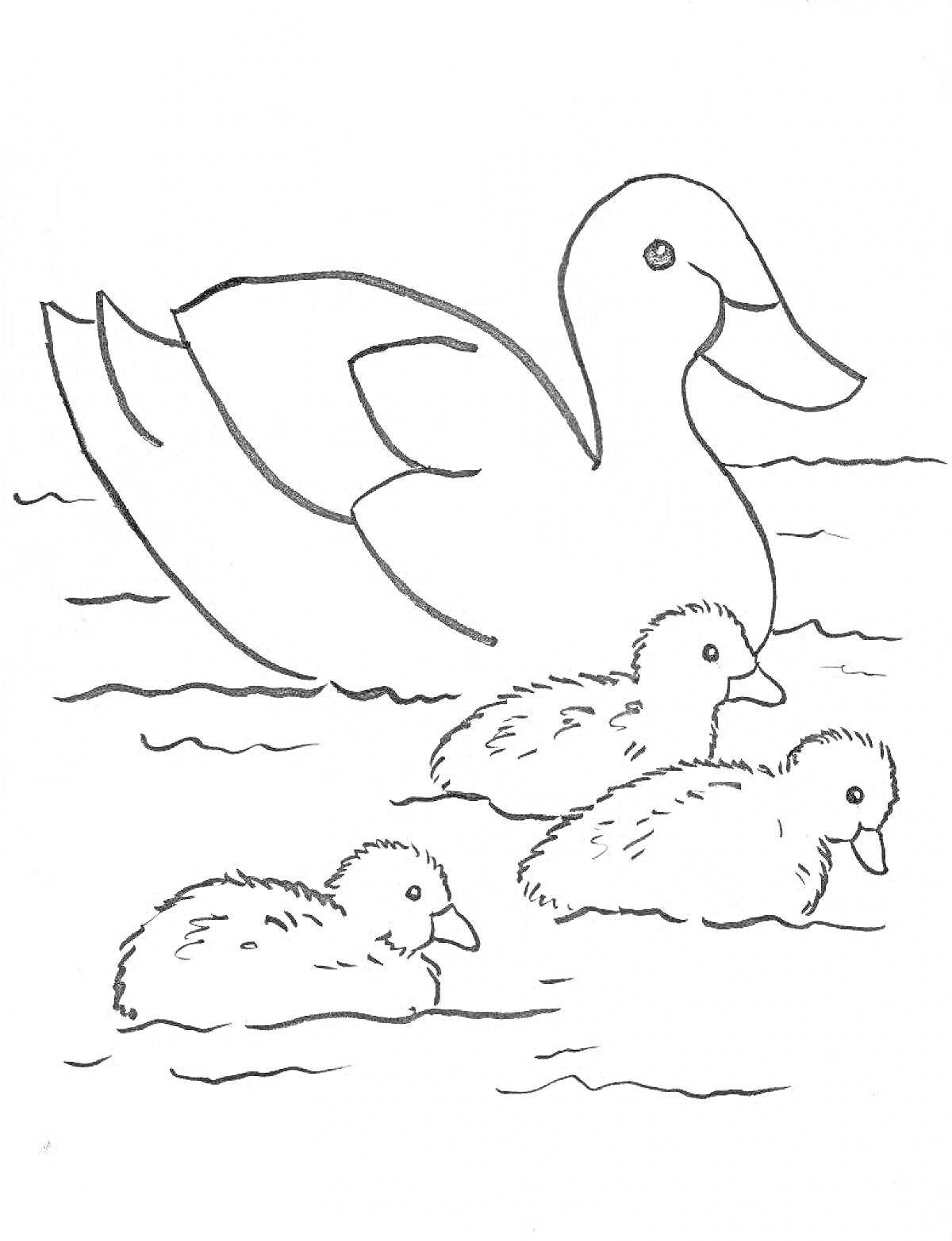 На раскраске изображено: Утка, Вода, Плавание, Природа, Детские рисунки