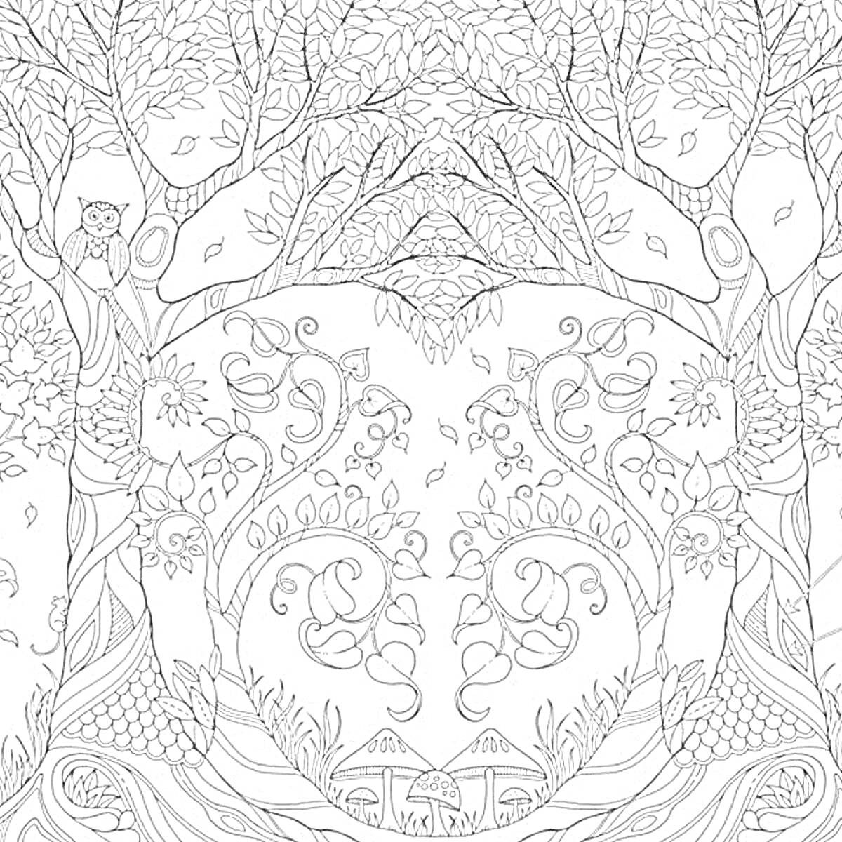 Раскраска Зачарованный лес с совой, деревьями, листьями, цветами, грибами и ветвями