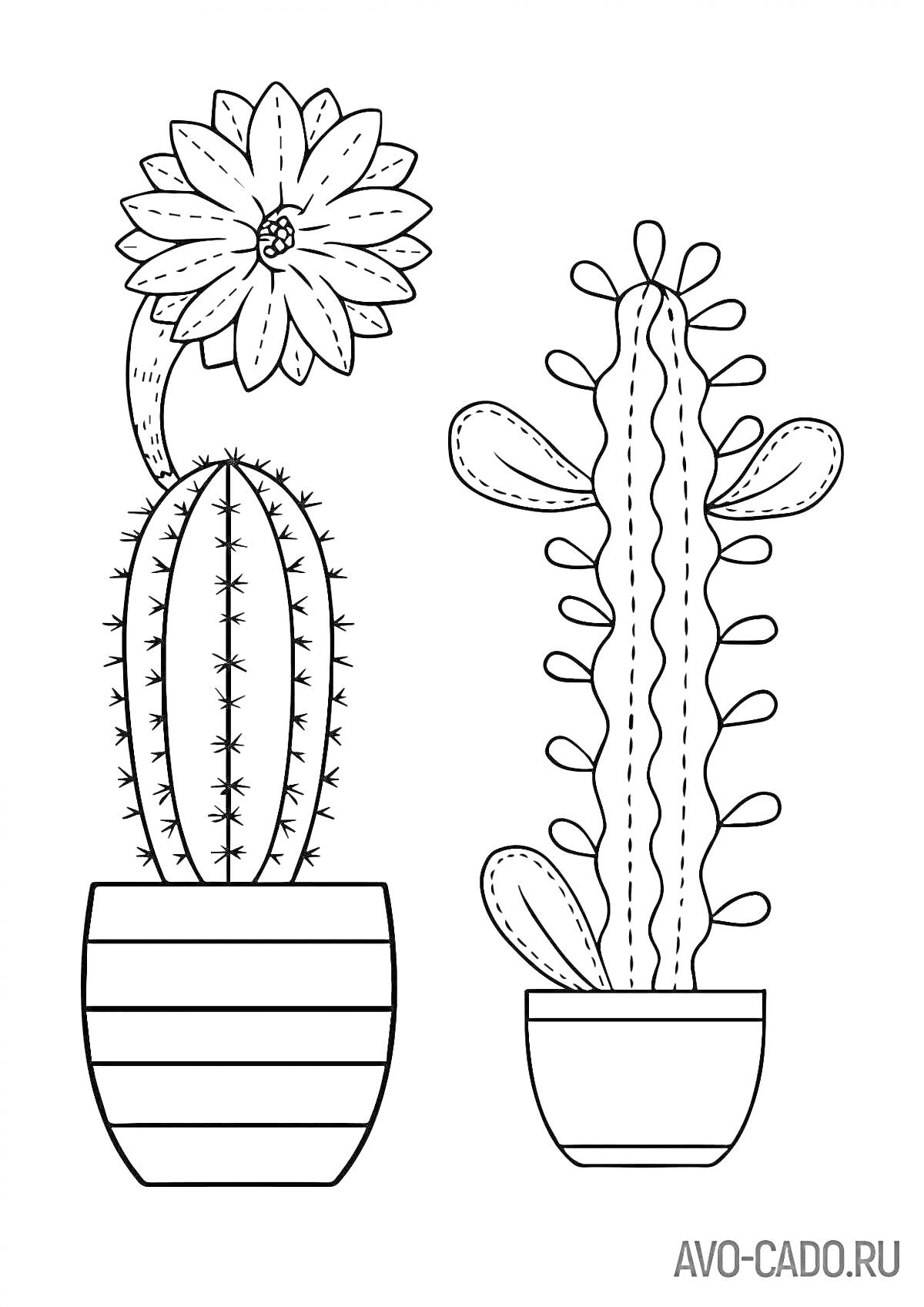 Раскраска Раскраска с кактусами в цветочных горшках, один с цветком, другой с маленькими отростками