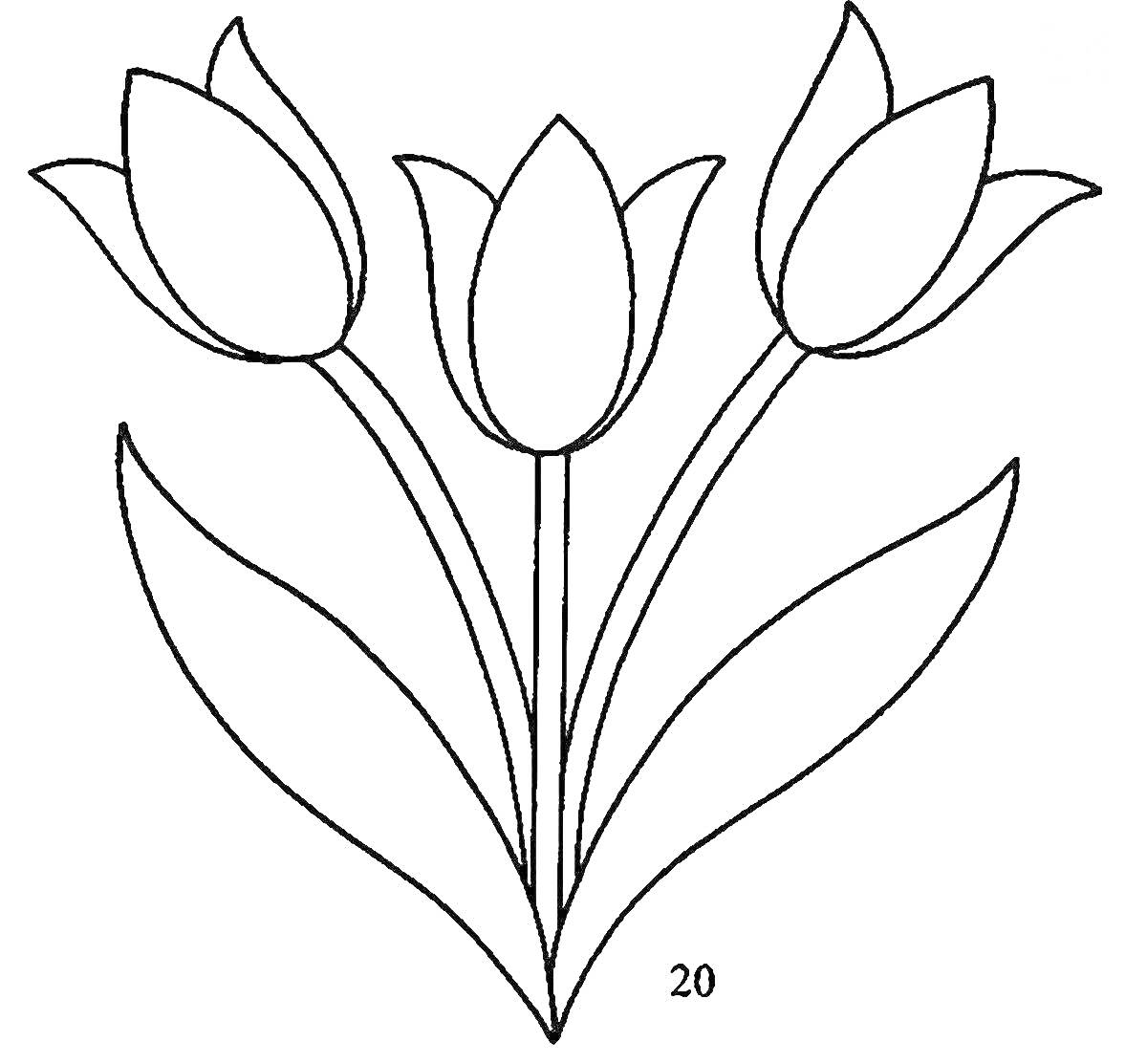 Раскраска Три тюльпана с листьями