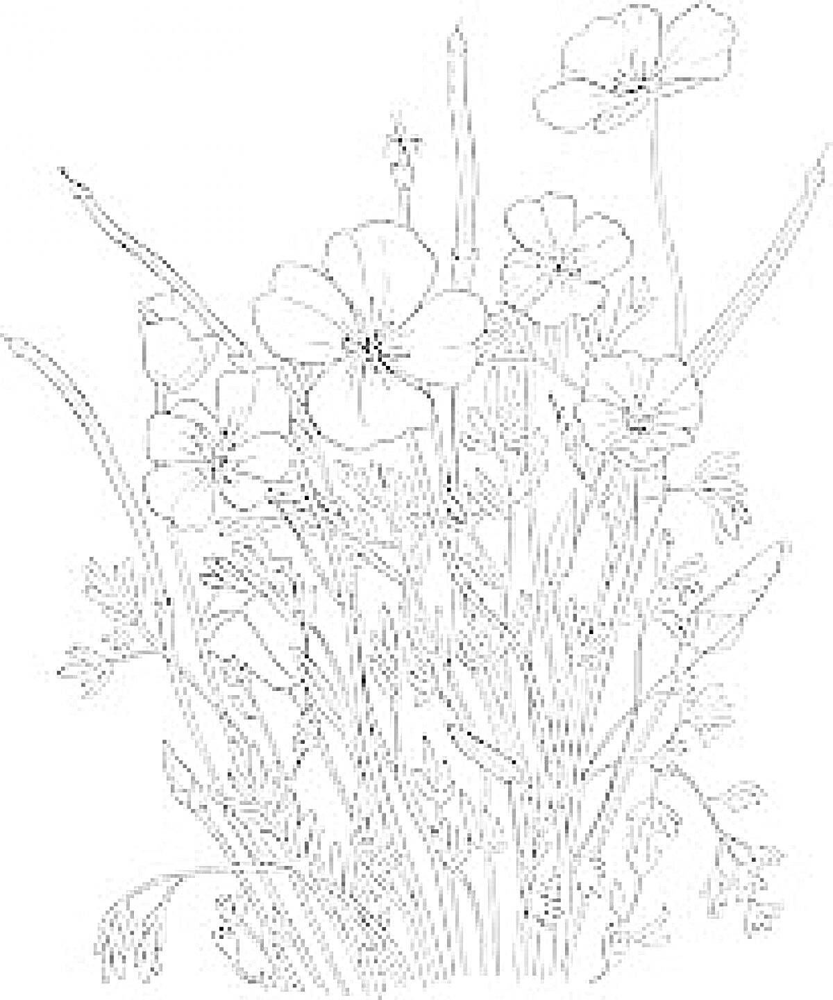 Раскраска Куст полевых цветов с распустившимися бутонами и длинными листьями