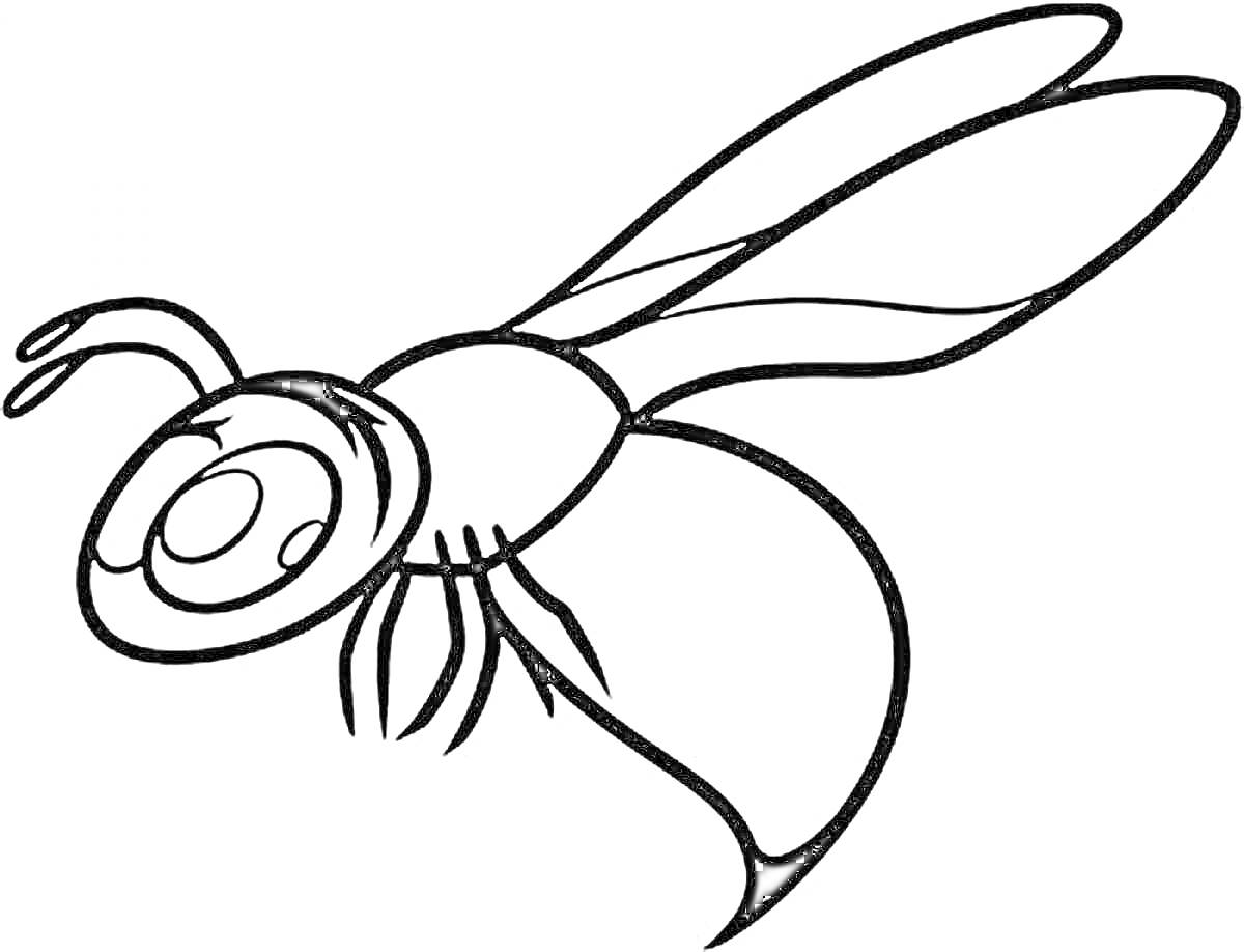 Раскраска Раскраска с изображением осы с двумя крыльями, глазами, усиками и ножками