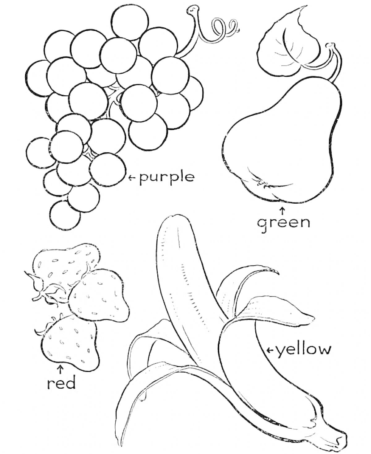 На раскраске изображено: Виноград, Клубника, Банан, Purple, Green, Red, Yellow, Еда, Английский алфавит