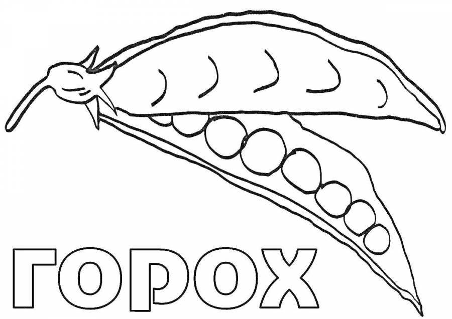Раскраска горох. Раскраска горох