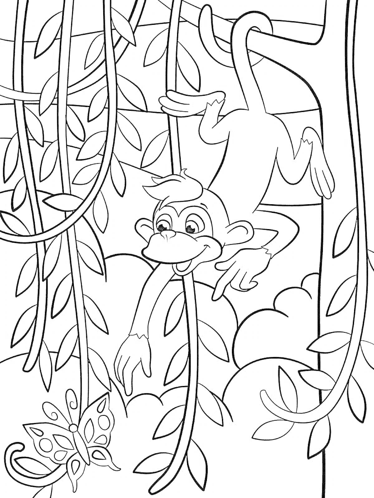 На раскраске изображено: Бабочка, Джунгли, Листья, Природа, Деревья, Животные, Приключения