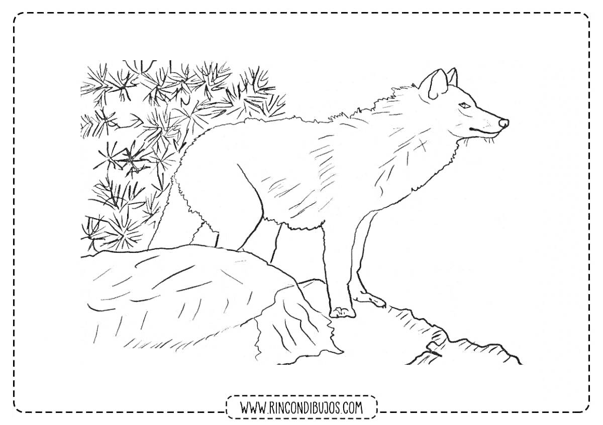 Раскраска Волк на скале возле деревьев