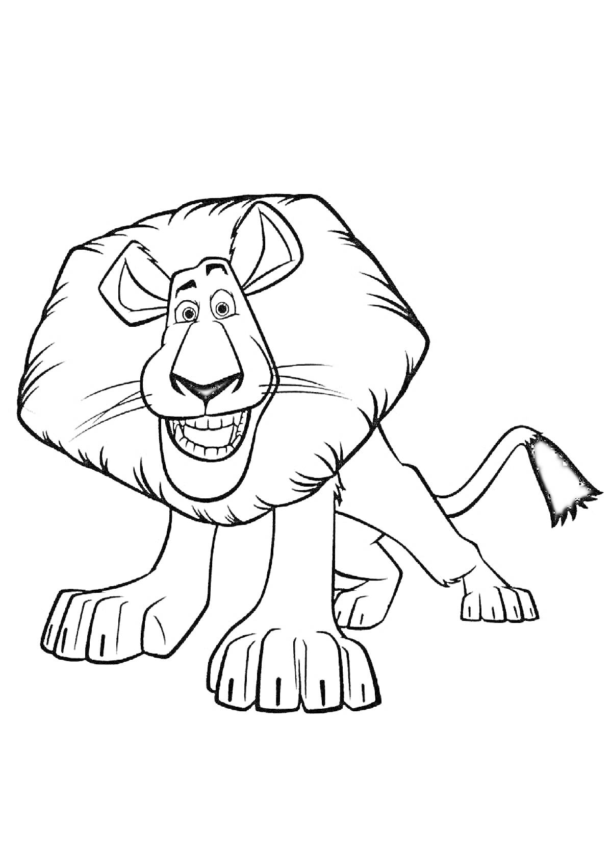 Раскраска Лев с пышной гривой, улыбкой и поднятыми ушами