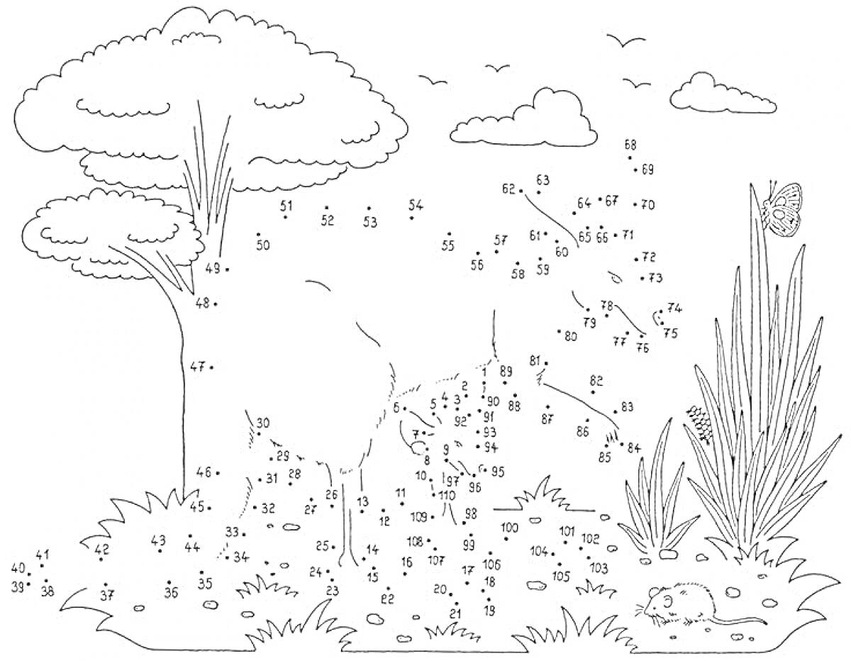 На раскраске изображено: По точкам, 7 лет, 8 лет, Лес, Олень, Облака, Бабочка, Мышь, Природа