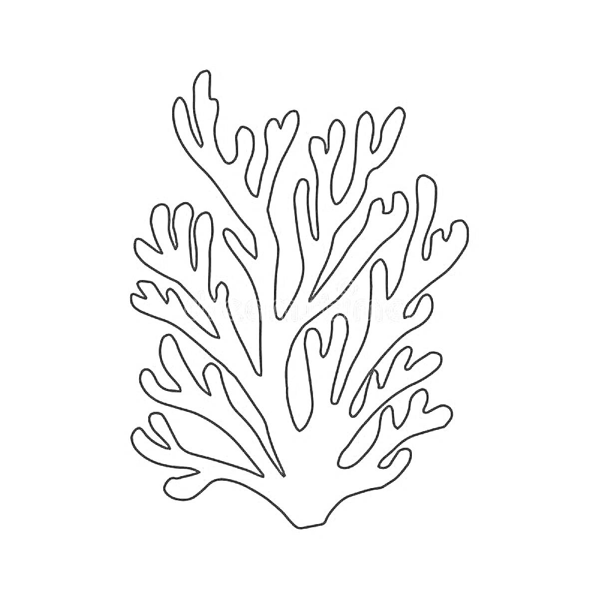 На раскраске изображено: Морская жизнь, Подводный мир