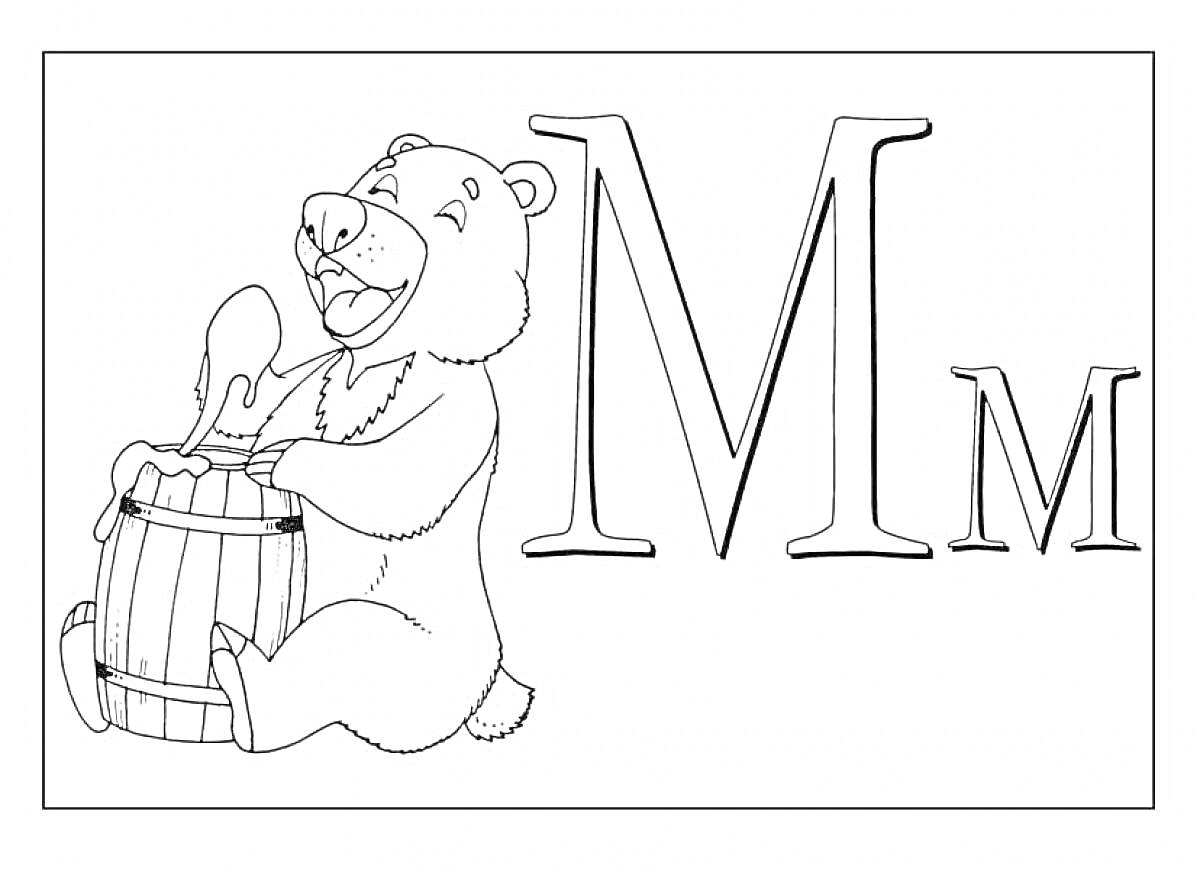 На раскраске изображено: Медведь, Бочка, Мёд, Буква М, Алфавит, Животные, Английский язык