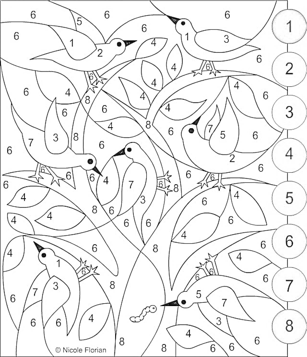Раскраска Птицы на дереве раскраска по номерам
